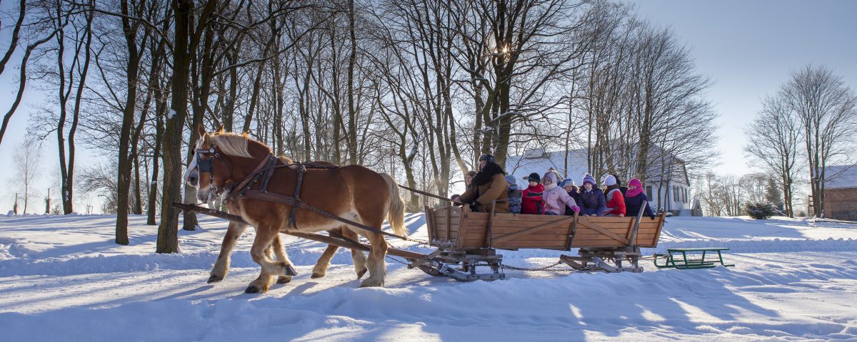Dzieci jadą w kuligu - Skansen w Sierpcu