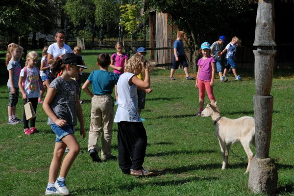 Skansen w Sierpcu - dzieci dowiadują się jakie zwierzęta mieszkają w zagrodzie