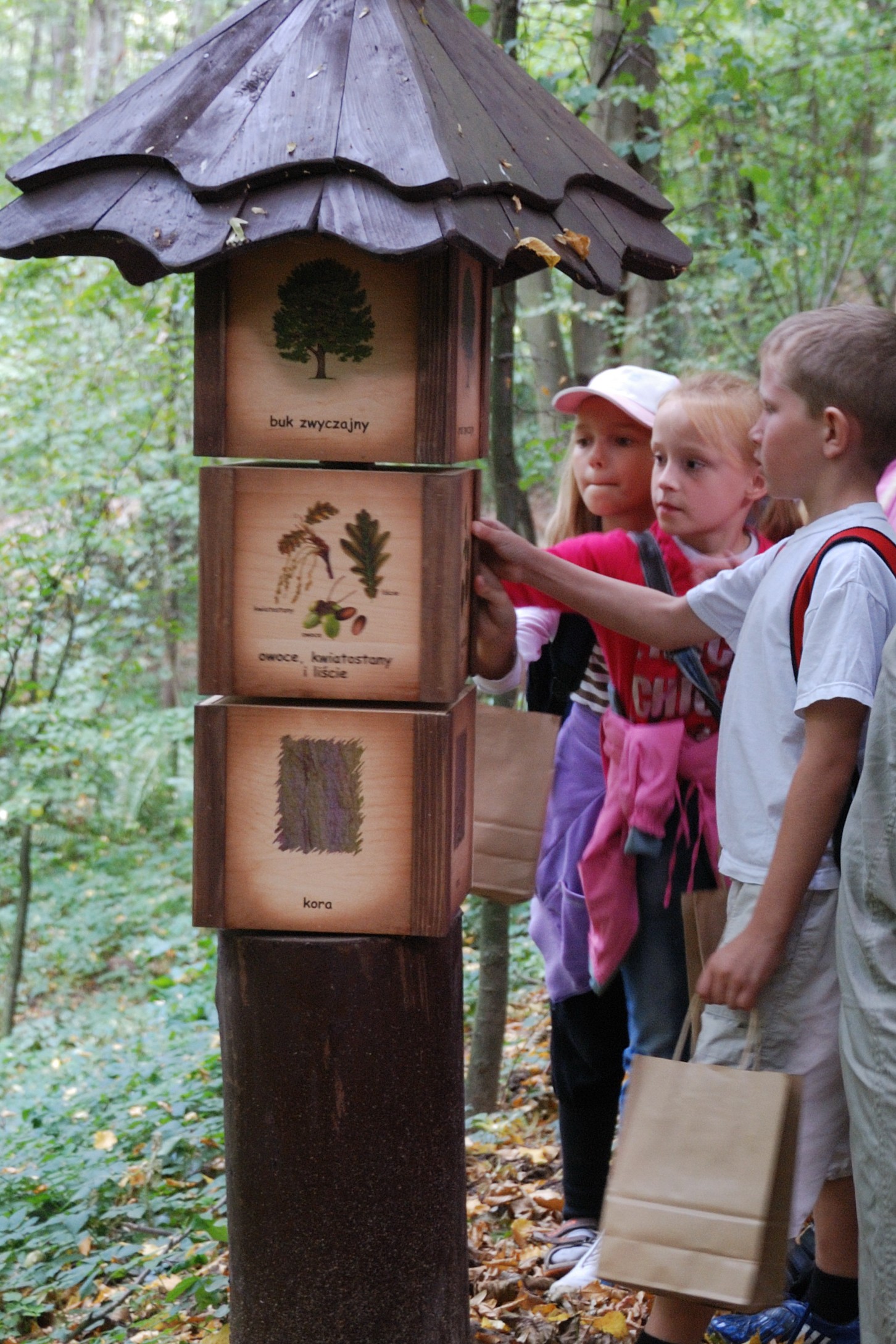 Skansen w Sierpcu - dzieci poznają las