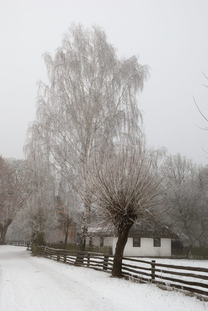 zimowy krajobraz na wsi, widok na zagrodę z Rempina