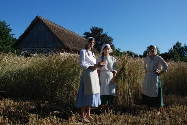 trzy kobiety w strojach wiejskich stojące na polu i strojące przepiórkę