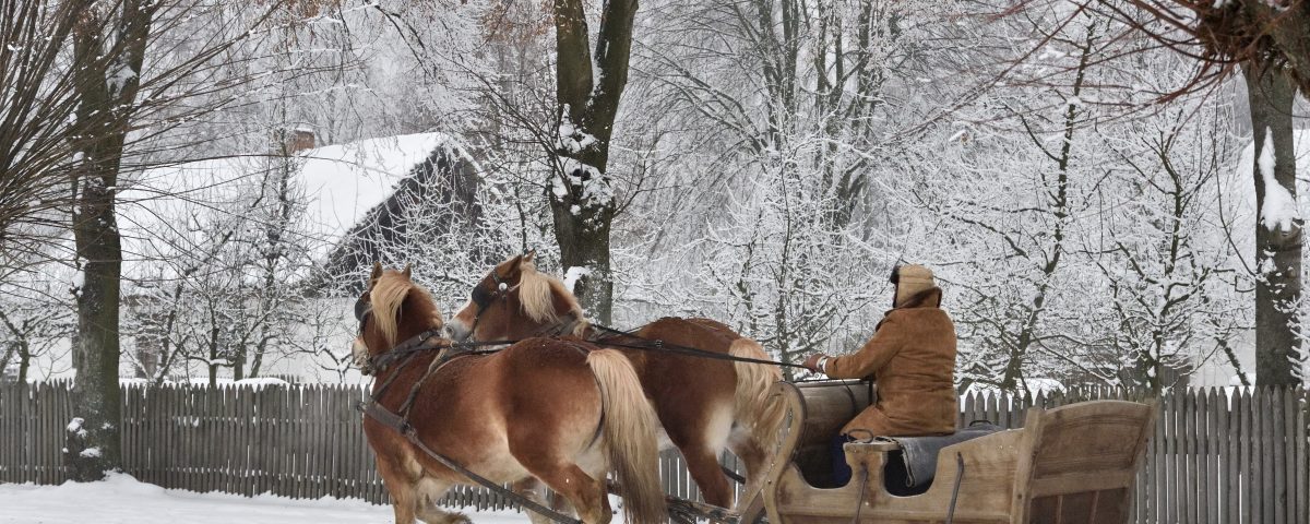 Zima na wsi, drogą między chałupami jadą sanie zaprzężone w parę koni - skansen w Sierpcu