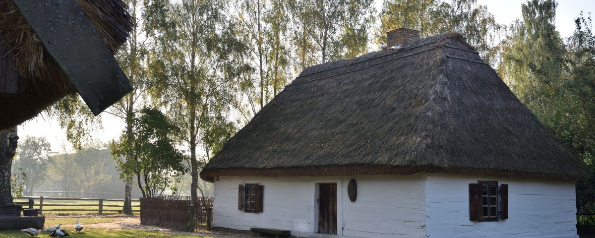 Podwórze wiejskie, niska chata pod strzechą, przed chatą kaczki, za domem rosną wierzby, Skansen w Sierpcu