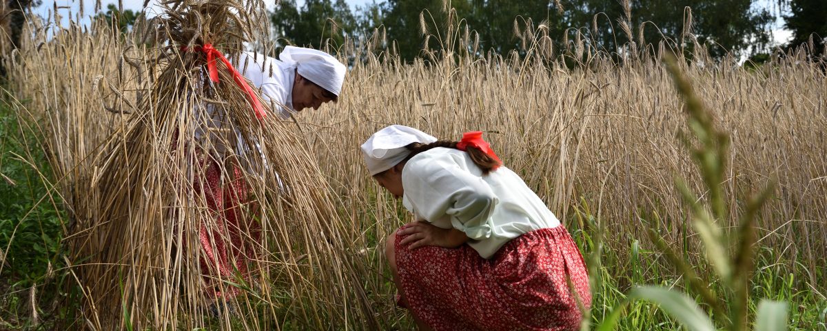 kobiety w iwjskich strojach na polu żyta stroją przepiórkę