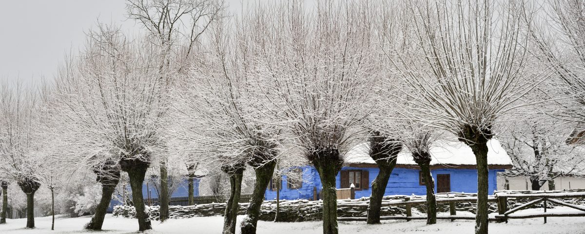 Pola, drzewa i droga pokryte śniegiem, w tle niebieska chałupa