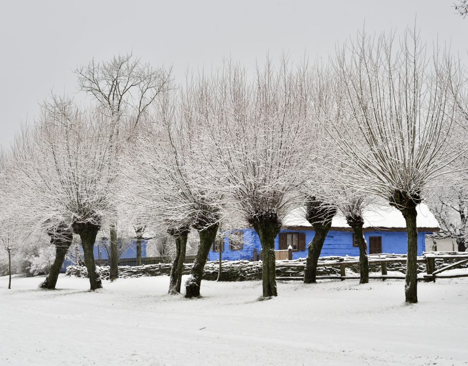 Pola, drzewa i droga pokryte śniegiem, w tle niebieska chałupa