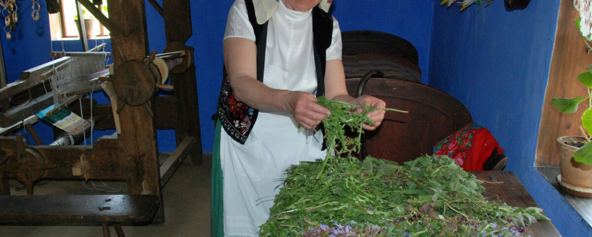 kobieta w wiejskiej izbie zajmująca się ziołami
