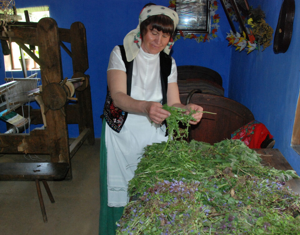 kobieta w wiejskiej izbie zajmująca się ziołami